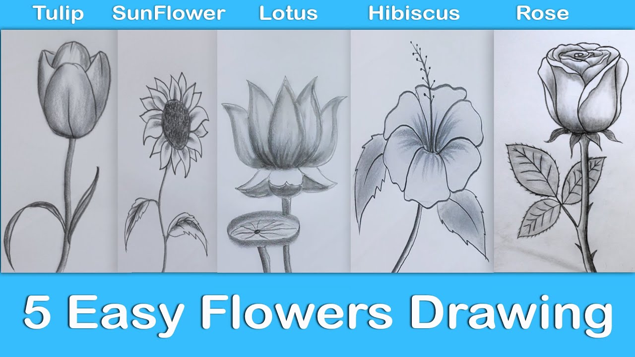 Easy Flowers Drawing || How to draw flowers  - YouTube