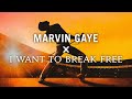 Marvin Gaye x I Want To Break Free (Full Version Mashup)
