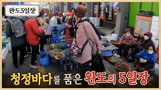 말린 고등어 먹어봤나요? / 귀하다는 말린 대우럭/해초전복김밥 / 다시마 꽈배기 / 오일장맛집 / 완도5일장