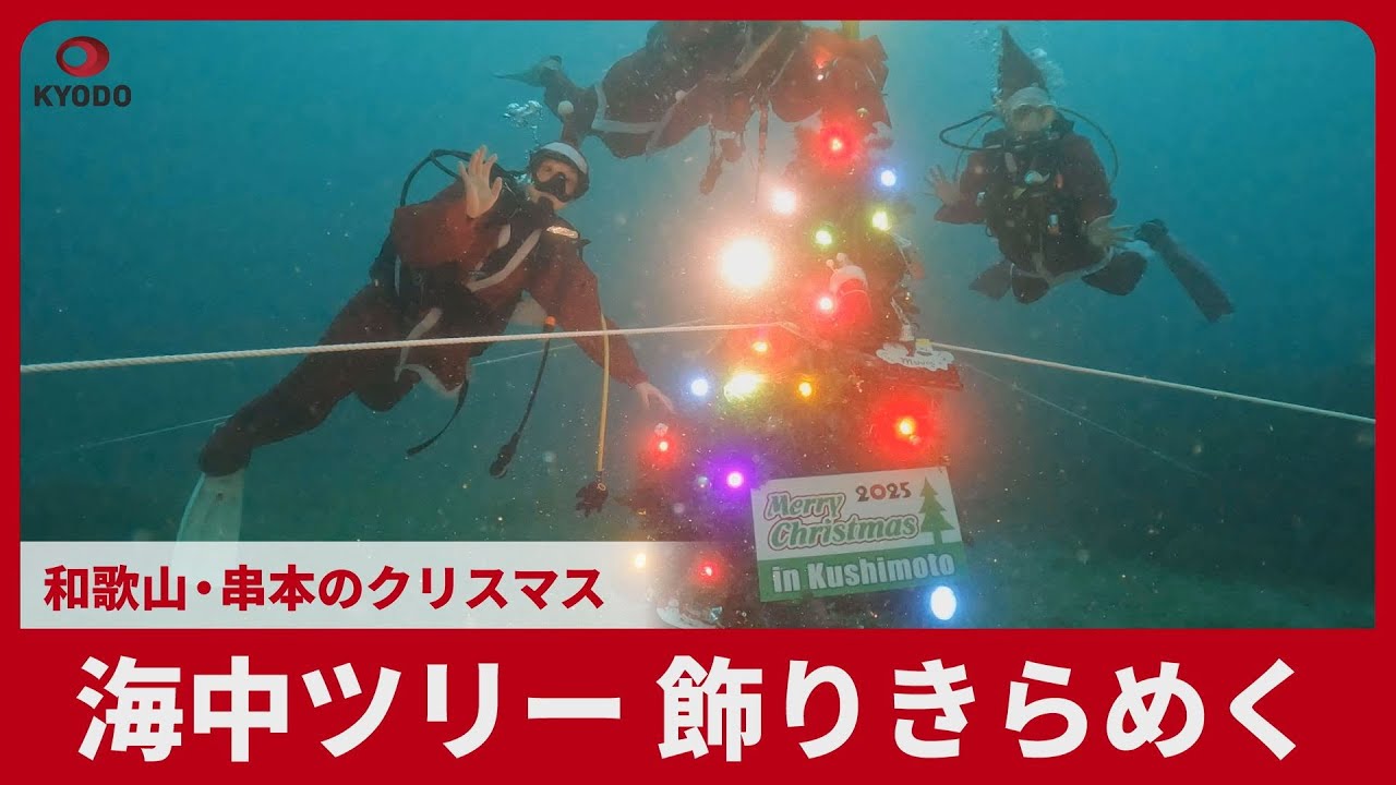 Underwater tree sparkles with decorations at Christmas in