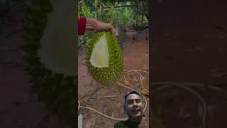 perbedaan cara makan durian orang Thailand vs Indonesia #durian #durianbangkok #duriantraveler