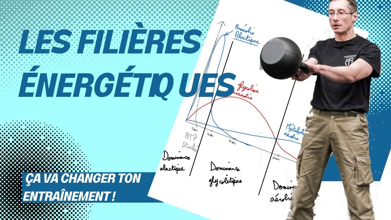 Les filières énergétiques et l'influence sur l'entraînement