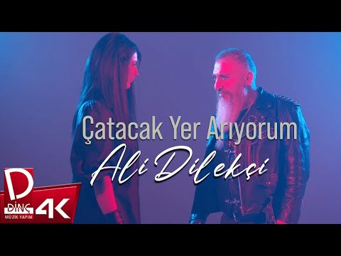 Ali Dilekçi — Çatacak Yer Arıyorum