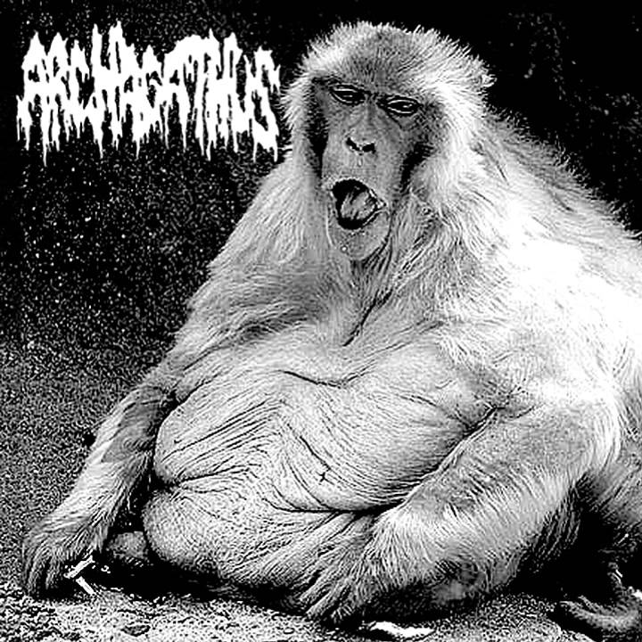 Archagathus - Split 7