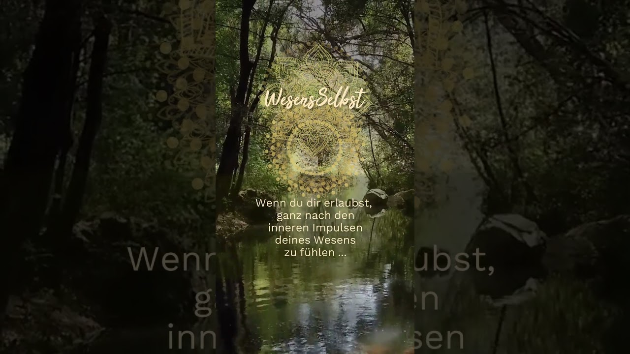 🪷 Erlebe in deinem Wesen ein unendliches Freigefühl... 🪷 