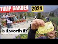 Tulip garden srinagar 2024  a burst of spring colors in kashmir