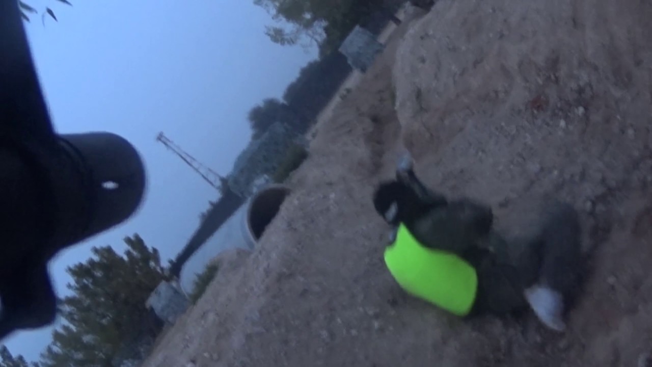 KPS splat action paintball YouTube