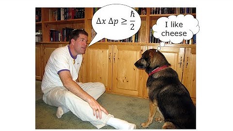 What Every Dog Should Know About Quantum Physics