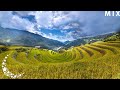 Relaxing Piano Music • Relaxing Music, Meditation Music, Relaxing Music to Relieve Stress