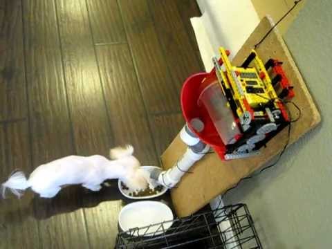 Homemade Automatic Dog Feeder Lego Mindstorms RCX 1.0 - YouTube