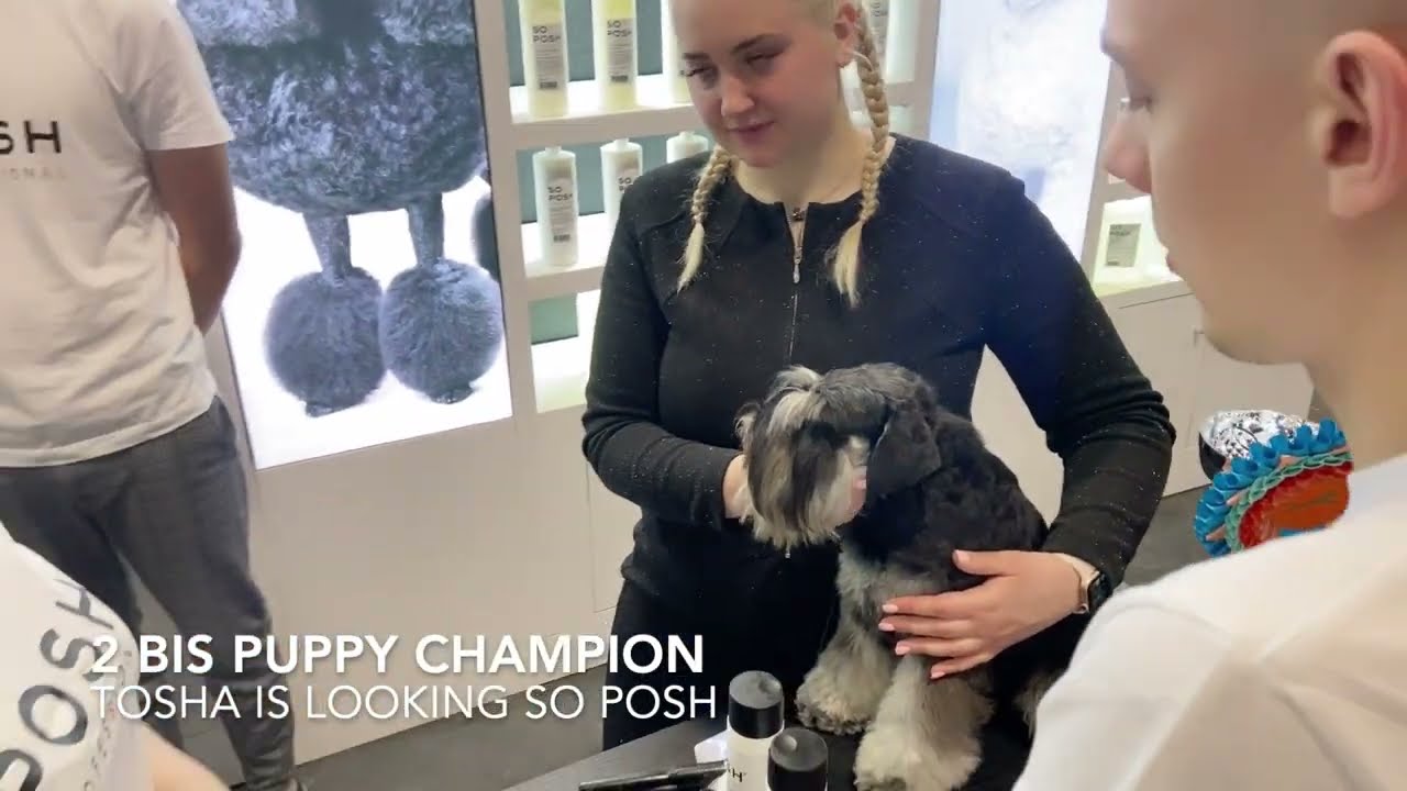 EDS Paris 2022 Aftermovie