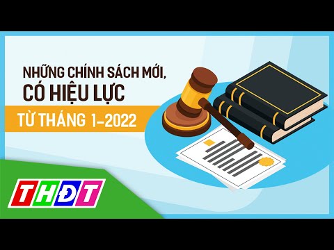 Video Chính sách nổi bật có hiệu lực từ tháng 1/2022 | THDT - youtube