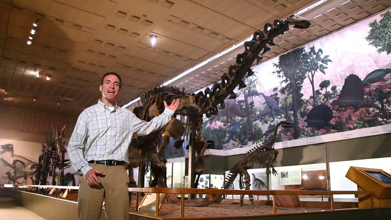 Peabody Museum Overview