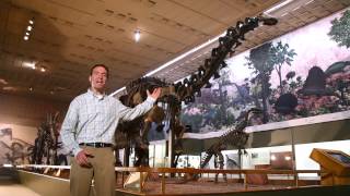 Peabody Museum Overview