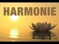 Zen attitude  sance dhypnose pour trouver lharmonie