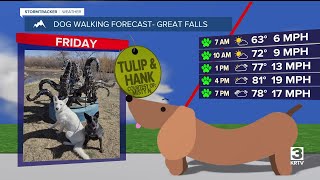 Dog-walking forecast (June 27, 2025)