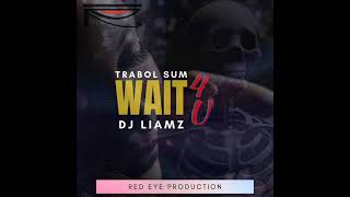 Trabol Sum - Wait 4 U feat. DJ Liamz (Official Audio)