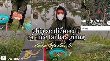 Khám Phá Điểm Câu Cá Diếc Lớn Tại Bắc Giang – Địa Điểm Lý Tưởng Cho Dân Câu