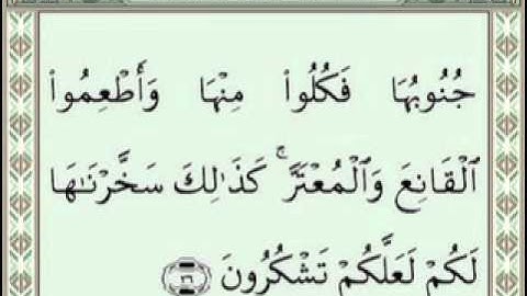 022 AlHajj Sudais Shuraim ( سورة الحج)