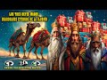 Los Tres Reyes Magos, Guardianes Eternos de la Ilusión 👑🌙🌍🎁🧸