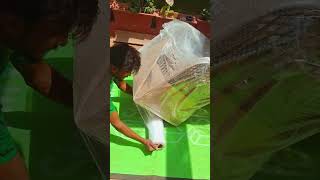 StowNest Secrets: Wooden Chair Packing Ep. 1