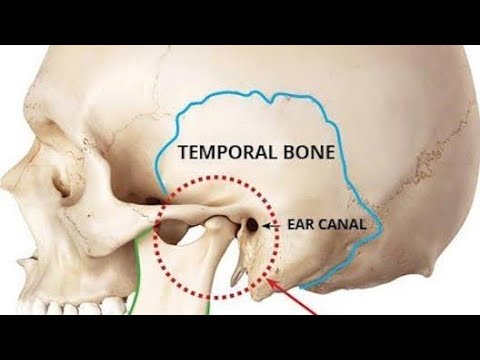 كسر الفك السفلي أسبابه وطرق علاجه يوتيوب