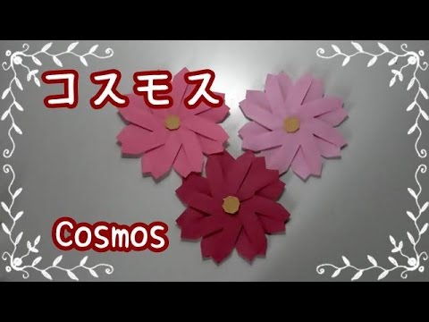 折り紙origami Fan 花 コスモス の折り方 How To Fold A Cosmos 親子で遊べる折り紙 Youtube
