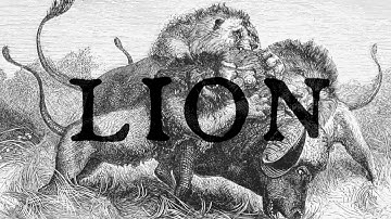 Lion - Digital Cutout Animation