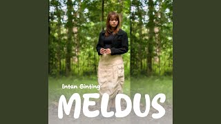 MELDUS