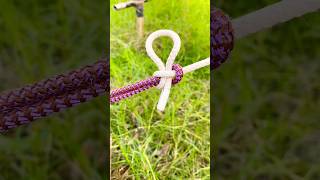 he Simplest Way To Tie Tent Corner Knot !#camping #gtknot #bowlineknots #knotting #shorts #tips
