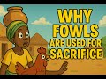 African Folklore Expert Reveals SHOCKING Truth About Fowl Sacrifices 