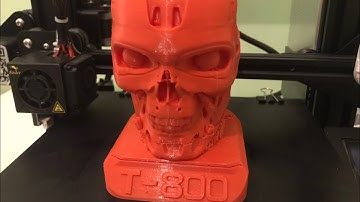 3D Printed T800 Terminator (Time Lapse)