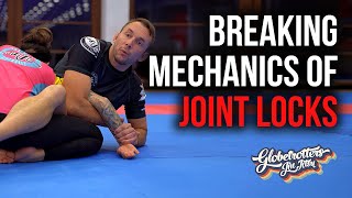 Zen Camp 2023: It's all in the hips - Breaking mechanics of joint locks with Joshua Janis