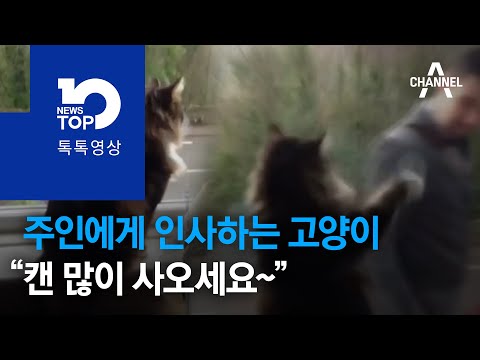 “캔 많이 <strong>사와라</strong>~~옹”