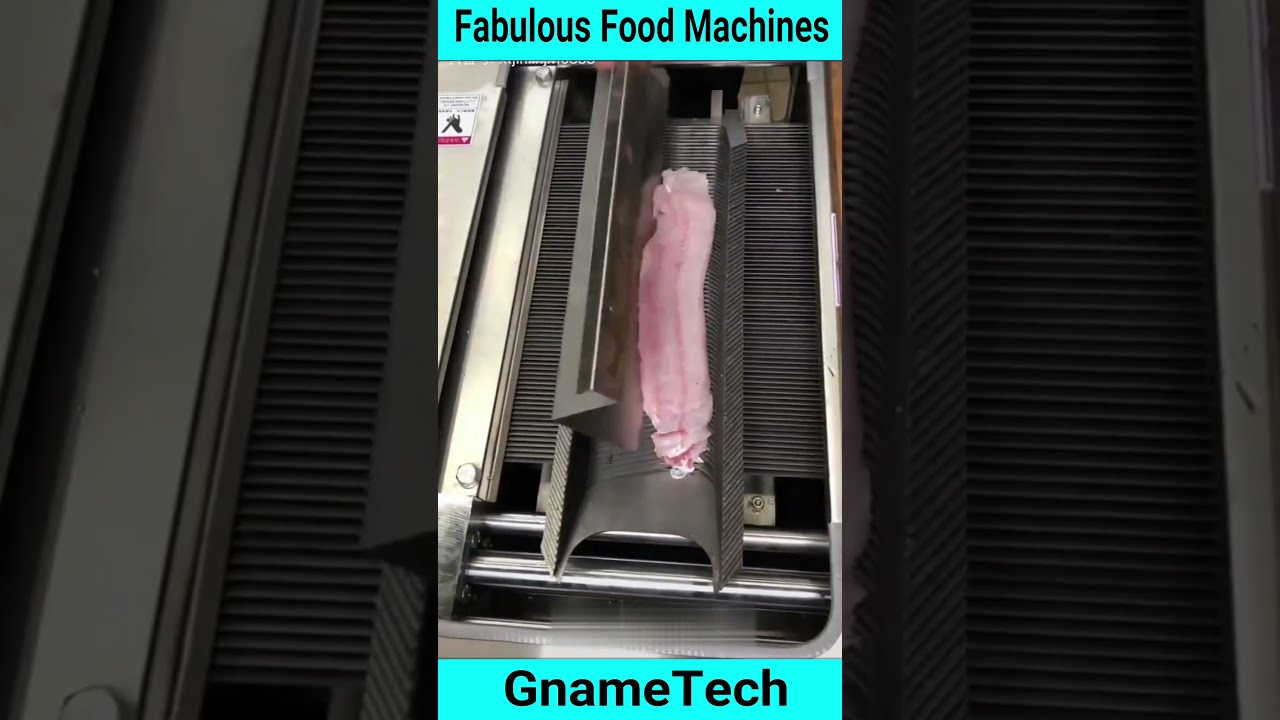 Fish Slicer Machine I GnameTech 