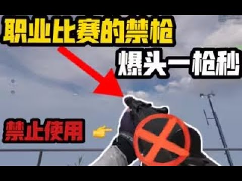 【使命召唤手游】职业比赛的禁枪！爆头一枪秒！SKS配装教学！#CODM一枪穿云