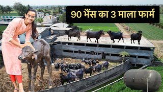 90 भैंस का 3 माला फार्म || Multilayer Dairy Farm || Three Layer Farm || Hello Kisaan