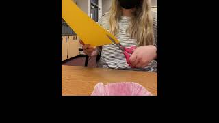 Child Development Final Exam