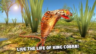Poisonous Snake Simulator 3D | Letsplay Video screenshot 1