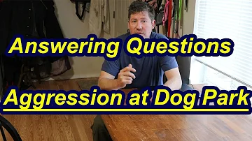 Do dog parks make dogs aggressive?