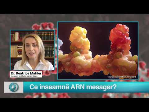 Video: MISC: Lipsește Imputarea Datelor De Secvențiere A ARN-ului Cu O Singură Celulă