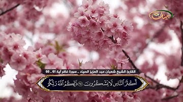 القارئ الشيخ شعبان عبد العزيز الصياد ـ سورة غافر آية 61 ـ 66