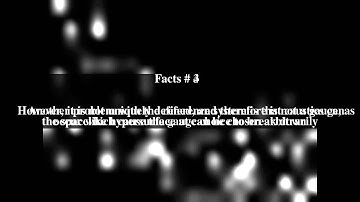 Synchronous coordinates Top # 7 Facts
