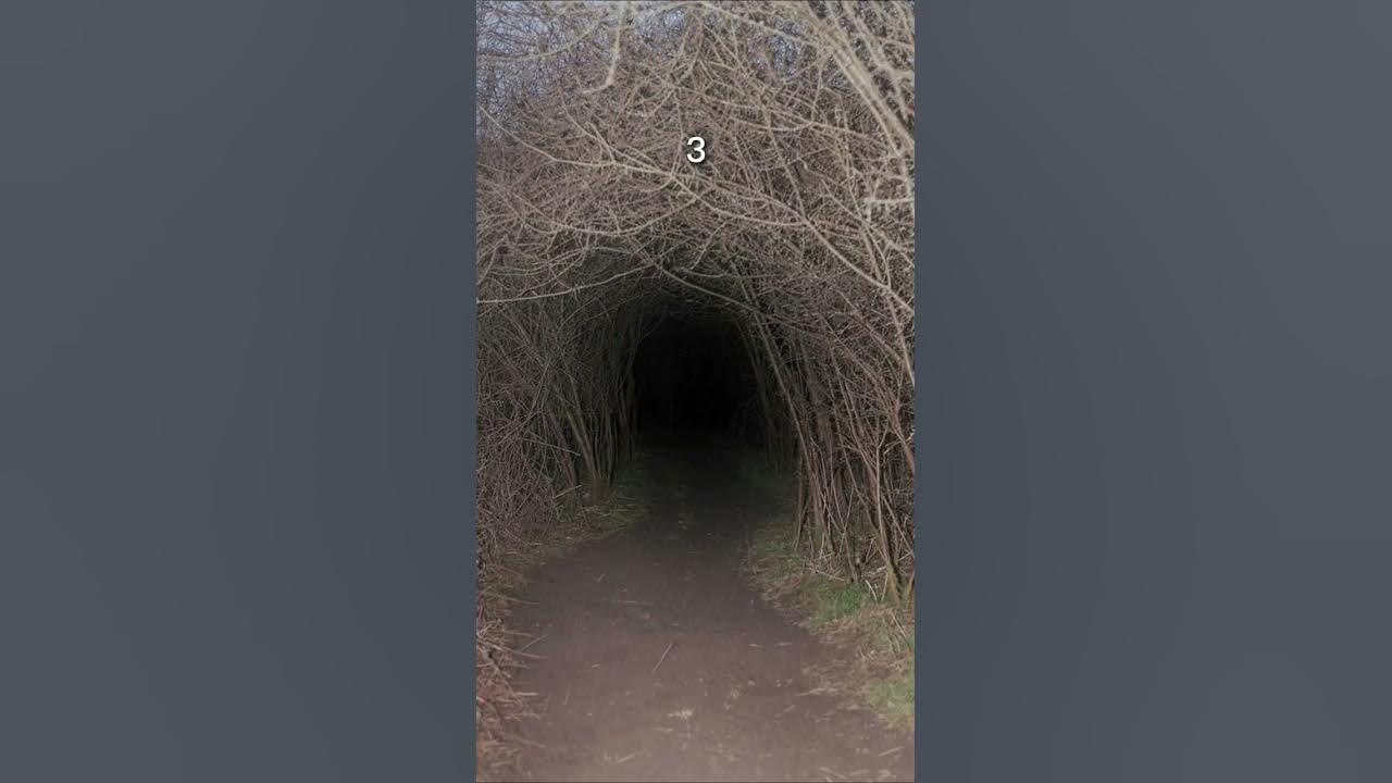 ☁️👁Dreamcore/Weirdcore/Traumacore/Liminal Spaces (part 7) #shorts