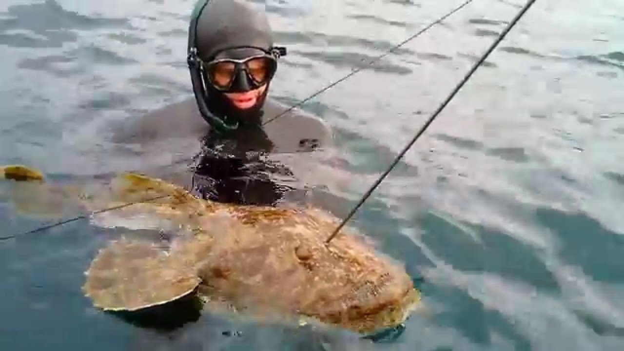 Tous les films la pêche nationale