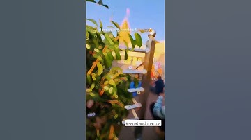 🚩मैं दास उसी का हूं मेरा मालिक है शिवाय🚩 #hindu #shorts