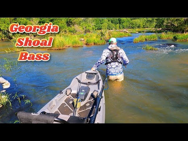 Georgia's Finest...The Shoal Bass Experience class=