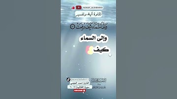 سورة الغاشية من ١٧-٢٠ ماهر المعيقلي
