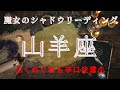 山羊座10月〜11月【シャドウ】動いてはいけない時‼️魔女のシャドウリーディング🌗