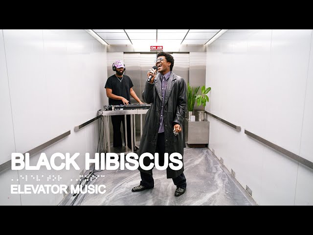Black Hibiscus (Live Performance) - Elevator Music - YouTube